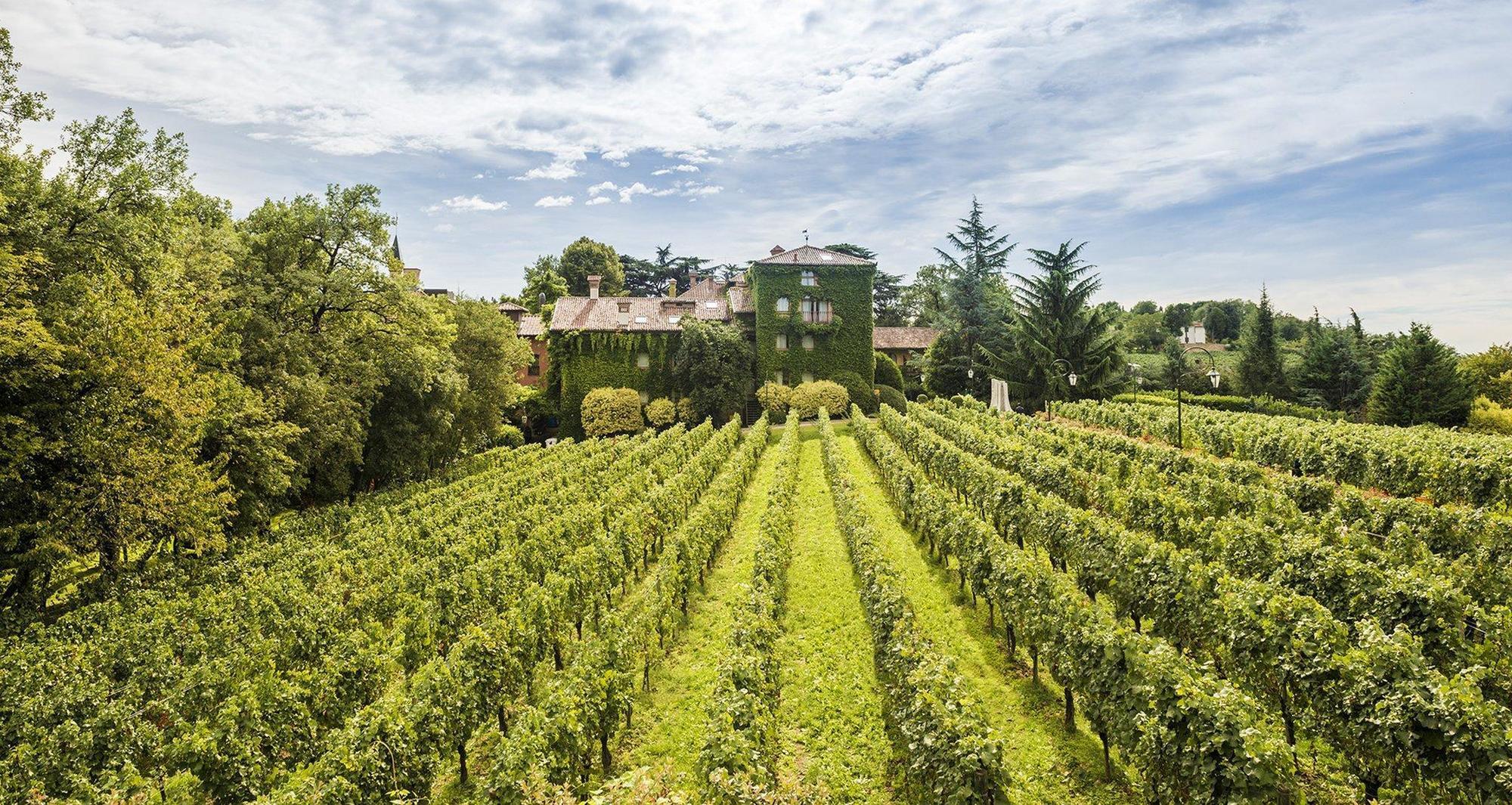 ארבוסקו L'Albereta Relais & Chateaux מראה חיצוני תמונה